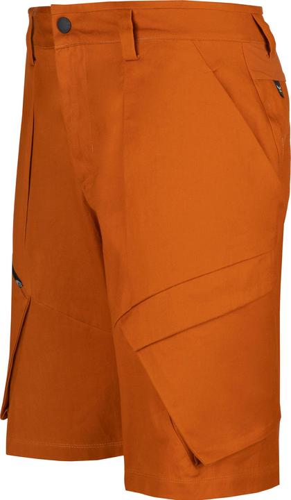 Actual product image Salewa Puez Hemp Cargo Shorts (M)