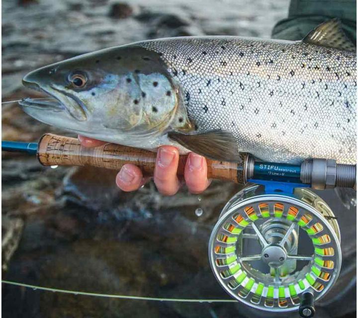 Image du produit Vision Stifu Seatrout 907-4 (Canne à mouche, 275 cm)