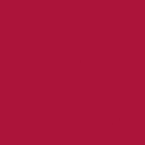 Actual product image Naj Oleari Creamy Delight Lipstick 17 Lacquer Red 4.2g (17 Red)