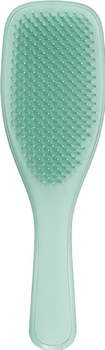 Image du produit Tangle Teezer Wet Detan Ent Bue fi fr da