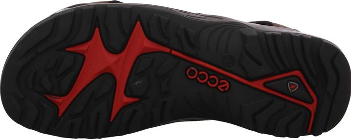 Actual product image Ecco Offroad Andes II (45)