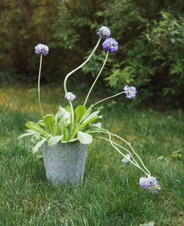 Immagine prodotto Esmée Vaso da fiori / fioriera Orient, lamiera (16 cm)