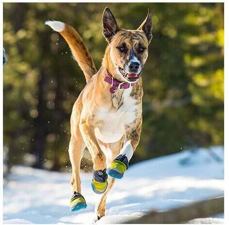 Image du produit Ruffwear Polar Trex - 1 paire - Chaussures pour chiens (M, Chaussures pour chien)