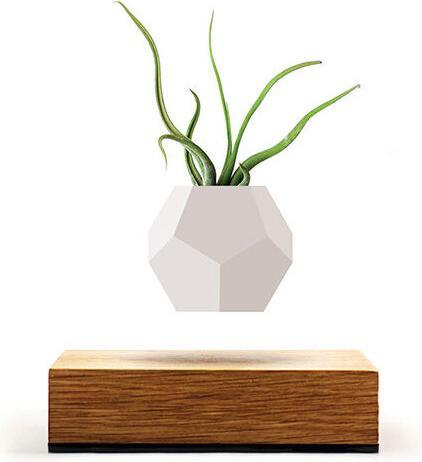Image du produit Flyte LYFE Planter (154 cm)