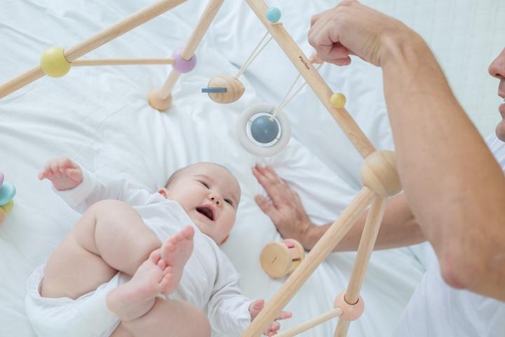 Produktbild Plantoys Baby Gym