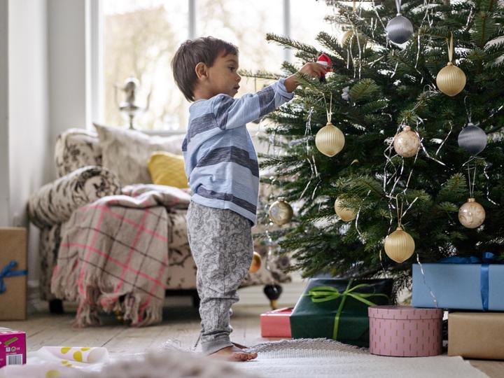 Image du produit LEGO Plaisirs d'hiver avec le Père Noël (10837)