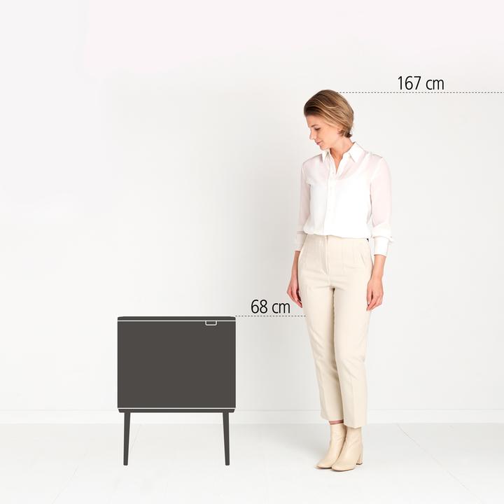 Image du produit Brabantia Bo Touch Bin (36 l)