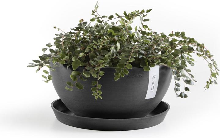 Immagine prodotto Ecopots Saucer Round