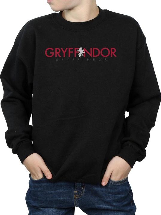 Image du produit - Sweat GRYFFINDOR TEXT - Garçon (152, 158)