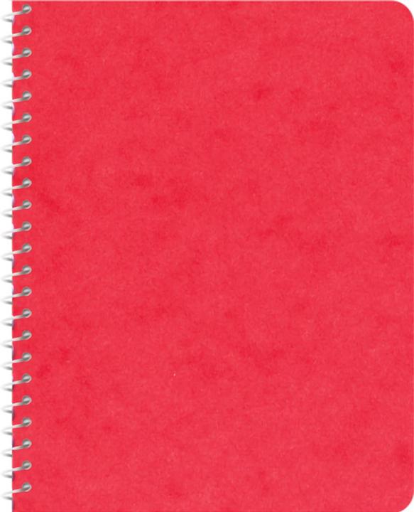 Immagine prodotto Novooo Spiralheft assortiert (91 x 121 mm, Quadretti)