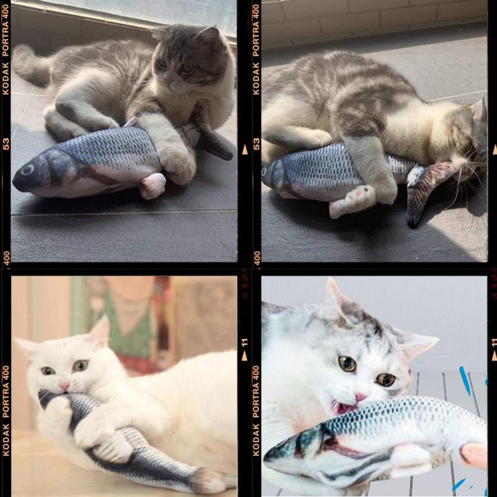 Image du produit Best direct Magic Fish (Jouet en peluche chat)