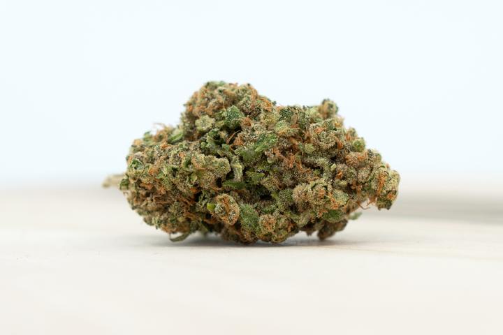 Produktbild Herba di Berna Harlequin (250 g, Indoor)