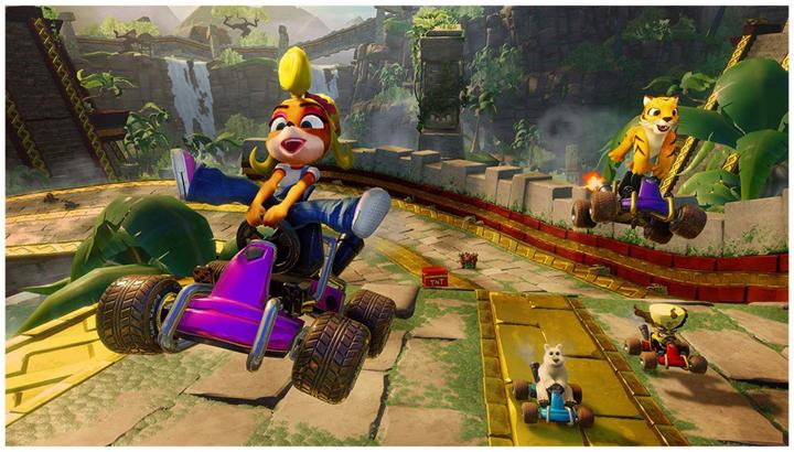 Image du produit Activision Sony Crash Team Racing Nitro-Fueled, PS4 Standard PlayStation 4 (PS4, DE, IT, FR, EN)