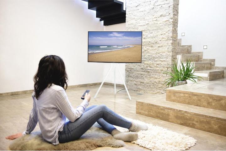Image du produit Hama Support TV, Chevalet sur pied, réglable en hauteur, 191 cm (75") jusqu'à 40 kg (75", 40 kg)