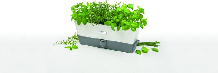 Image du produit Cole & Mason Kräutertopf