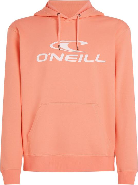 Immagine prodotto O'Neill Logo Hoodie (S)