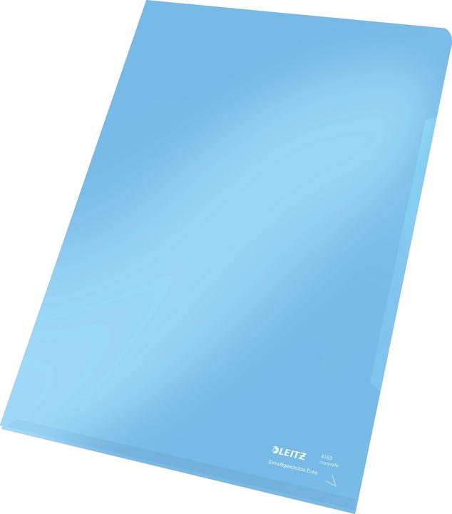 Actual product image Leitz Premium A4 Viewing Pouch (A4, 100 x)