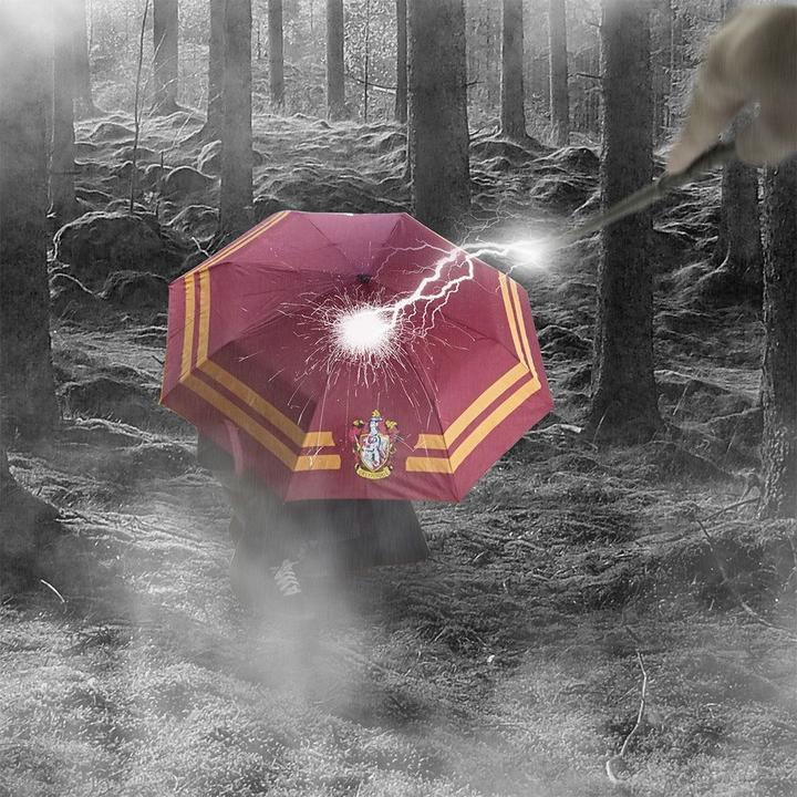 Image du produit Cinereplicas Gryffindor