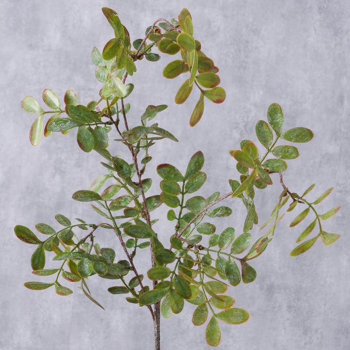 Produktbild Boltze Home Dekozweig (20 cm)
