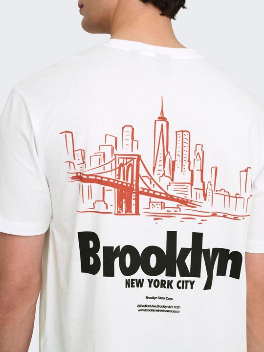 Produktbild Only & Sons Onskeane Rlx Ss Print Tee Noos (M)