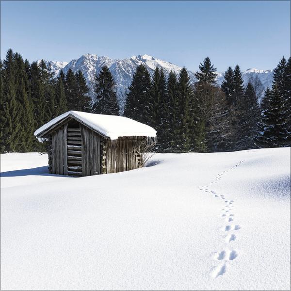 Produktbild Alpen 2026 (30 x 60 cm, Harter Einband, Französisch, Englisch)