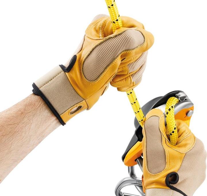 Image du produit Petzl Descender Rig