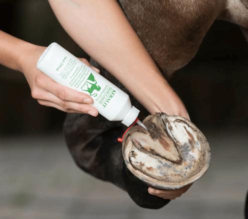Actual product image Keralit Beam-Liquid