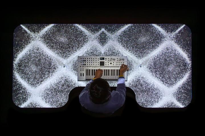 Image du produit Roland GAIA-2