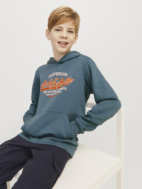Actual product image Jack & Jones JJELOGO SWEAT HOOD 2 COL 24/25 NOOS JNR (176)