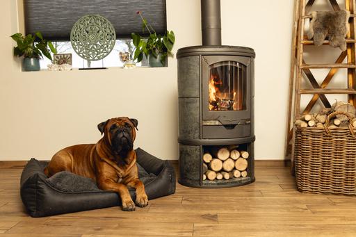 Produktbild Beeztees Memory Foam Hundebett Uma in Anthrazit (Hund)