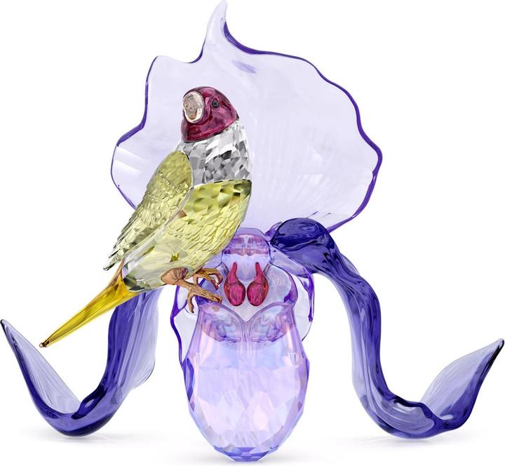 Produktbild Swarovski Idyllia Gouldamadine und Orchidee