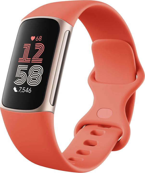 Fitbit Charge 6 (36.73 mm)
