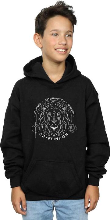 Produktbild Gryffindor Seal Kapuzenpullover Jungen (140, 146)