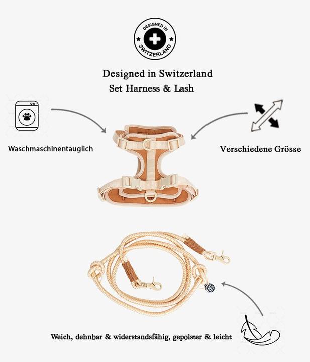 Produktbild Pet & Co. Rex - Geschirr und Leinen Set - Brown (Hund)
