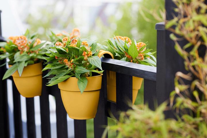 Produktbild Elho Vibia Campana Flower Twin (210 cm)