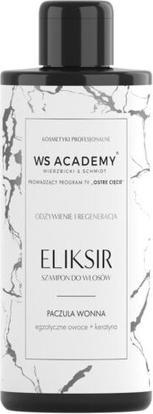 Ws Academy Essence Nourishing And Regenerating Hair Shampoo Patchouli Fragrance 250Ml (250 ml, Flüssiges Shampoo)