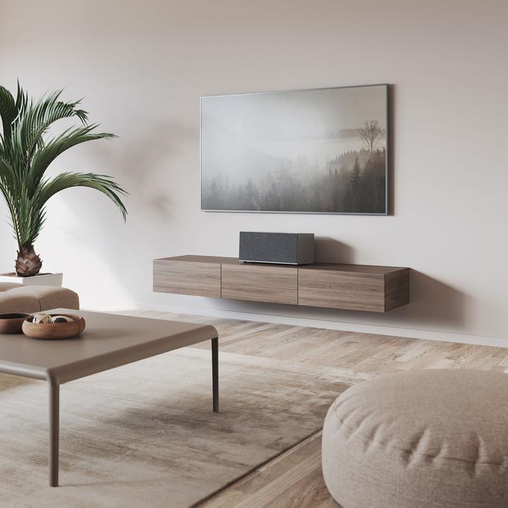 Actual product image Audio Pro C20 Multi-Room Speaker (Radio Frequency (RF), Airplay 2, Bluetooth, Wi-Fi)