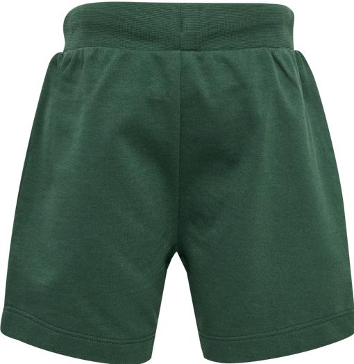 Actual product image hummel Hmltrue shorts (68)
