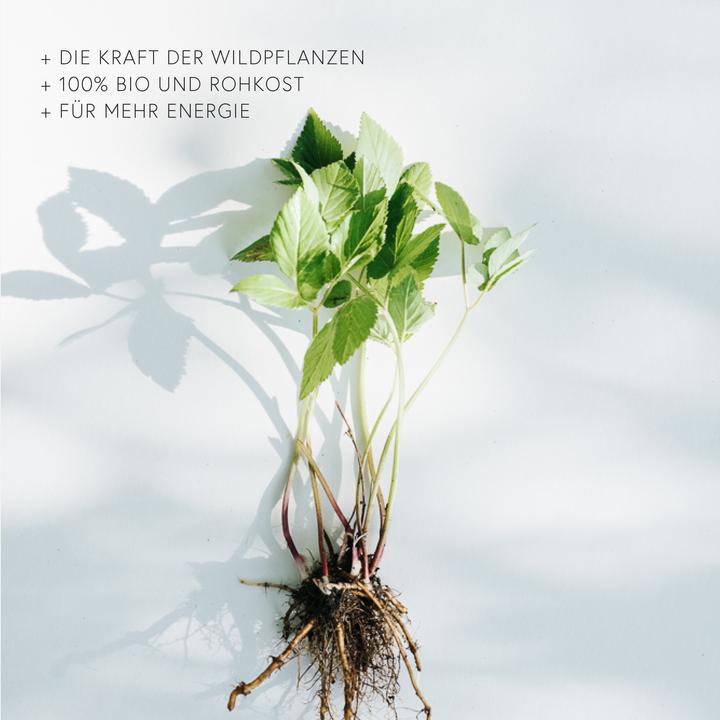 Produktbild Kruut Heimische Superfoods (70g) (1 Stück, Pulver, 70 g)