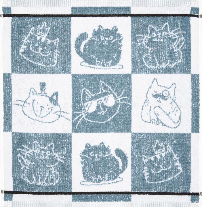 Produktbild Kracht Frottier-Geschirrtuch "Cool Cat" 3er-Pack (50 x 50 cm)