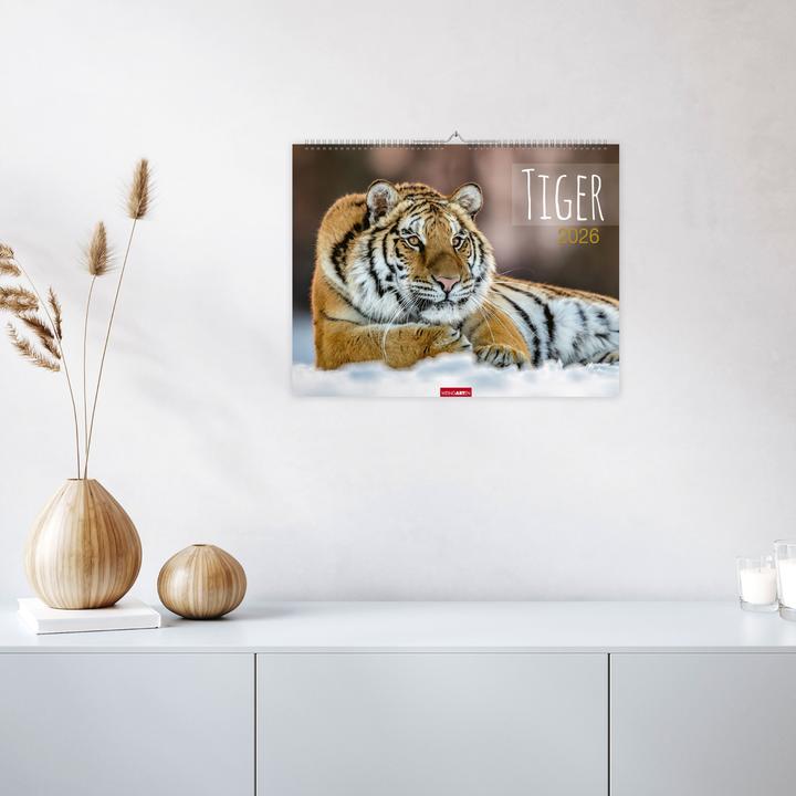 Actual product image Tiger Kalender 2026 (44 x 34 cm, Hardcover, German)