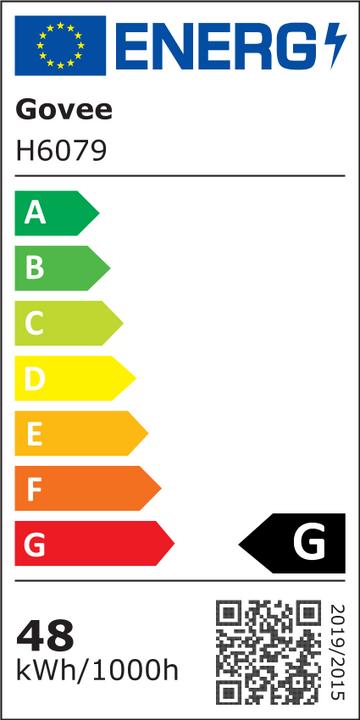 Energy Label Govee Lyra (2100 lm)