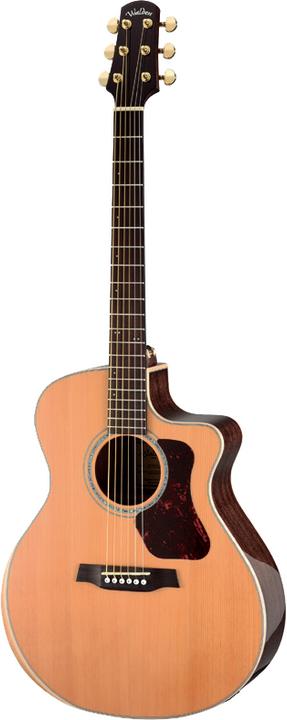 Actual product image Walden G633RCE-G (Western guitar, Ovangkol (bottom and sides), Rosewood (fingerboard), Red cedar (top), GraphTech NuBone (saddle), Maple (Binding))