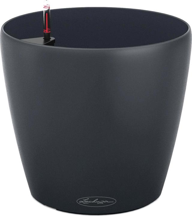 Actual product image Lechuza Classico Color (34.50 cm)