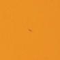 Immagine prodotto Exacompta Scrapbook - Copertine di file (A4, 100 x)