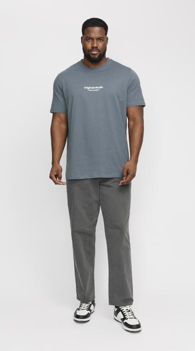 Image du produit Jack & Jones Jorvesterbro Tee Ss Crew Neck Noos Pls (8XL)