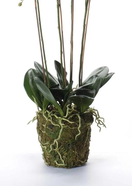 Productafbeelding Emerald Branislava (90 cm)
