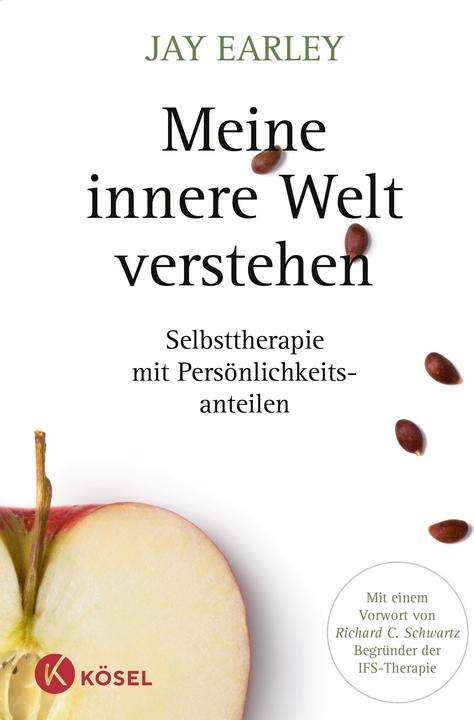 Produktbild Meine innere Welt verstehen (Deutsch, Jay Earley, 2014)