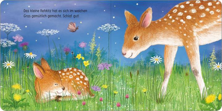 Produktbild Schlaf gut, kleine Eule! (Deutsch)