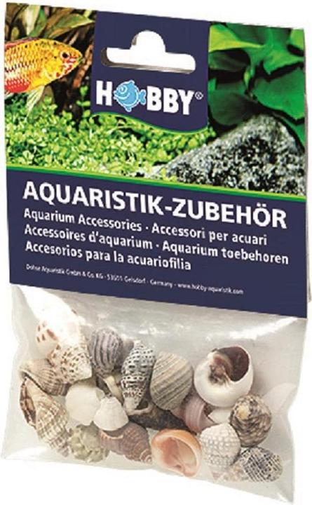 Immagine prodotto Hobby Set di conchiglie da decorazione, S, 20 pezzi (altre voci)